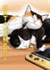 Cat + Gamer Volume 6