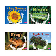 Pebble Plus Explore Life Cycles 6 Book Set