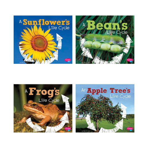 Pebble Plus Explore Life Cycles 6 Book Set