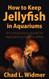 How to Keep Jellyfish in Aquariums
