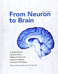 From Neuron to Brain