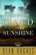 Through Cloud and Sunshine