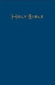 CEB Common English Large Print Pew Bible Navy