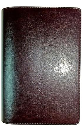 Waterproof Bible - KJV - Brown Imitation Leather