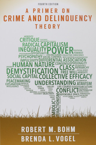 A Primer on Crime and Delinquency Theory