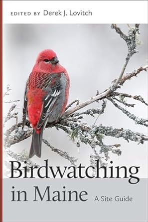 Birdwatching in Maine