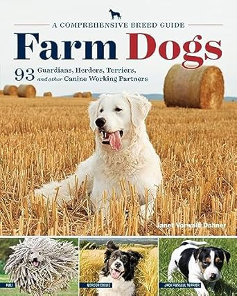 Farm Dogs