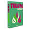 Tulum Gypset - Assouline Coffee Table Book