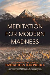 Meditation for Modern Madness