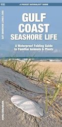 Gulf Coast Seashore Life 2nd Ed