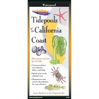 Earth Sky + Water FoldingGuide Tidepools of the California
