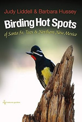 Birding Hot Spots of Santa Fe Taos and Northern New Mexico