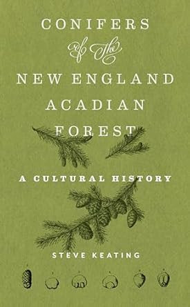 Conifers of the New England Acadian Forest