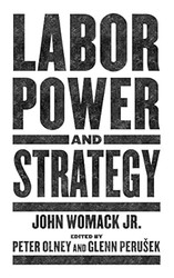 Labor Power and Strategy