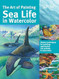 Art of Painting Sea Life in Watercolor