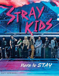 Stray Kids: Here to STAY