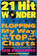21-Hit Wonder
