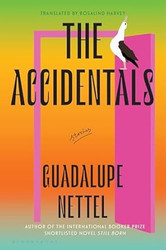 The Accidentals: Stories