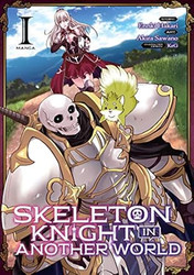 Skeleton Knight in Another World