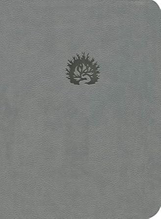 LBLA La Biblia de Estudio de La Reforma Simil piel gris