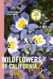 Wildflowers of California