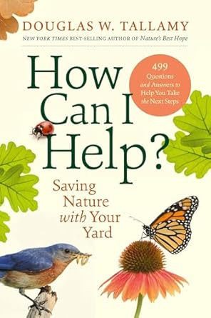 How Can I Help?