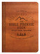 The Bible Promise Book Devotions for Men