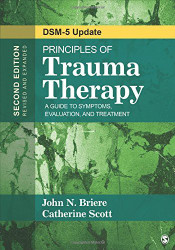 Principles Of Trauma Therapy