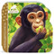 Jane Goodall Chimpanzees Children's Lift-a-Flap Board Book