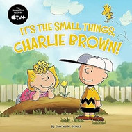 It's the Small Things Charlie Brown!