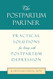 The Postpartum Partner