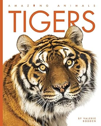 Tigers (Amazing Animals)
