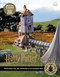 Harry Potter: Film Vault: Volume 12: Celebrations Food and