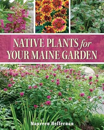 Native Plants for Your Maine Garden