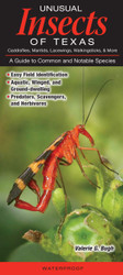Unusual Insects of Texas Caddisflies Mantides Lacewings