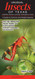 Unusual Insects of Texas Caddisflies Mantides Lacewings