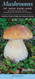 Mushrooms of New England Maine New Hampshire Vermont