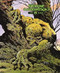 Bernie Wrightson: The FPG Years