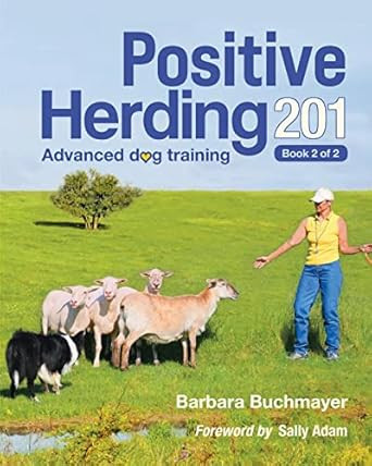 Positive Herding 201: Advanced dog training