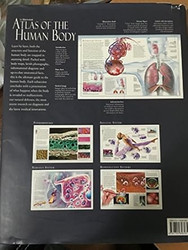 Illustrated Atlas of the Human Body