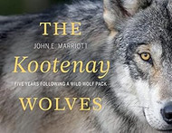 The Kootenay Wolves