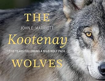 The Kootenay Wolves