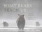 What Bears Teach Us