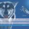 Sign Language with Animals