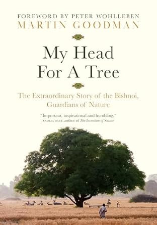 My Head for a Tree