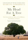 My Head for a Tree