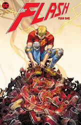 The Flash: Year One