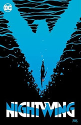 Nightwing 6: Standing at the Edge