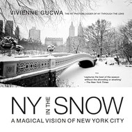 New York in the Snow