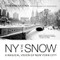 New York in the Snow